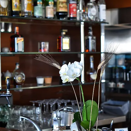 Hotel Ascot&spa Rimini